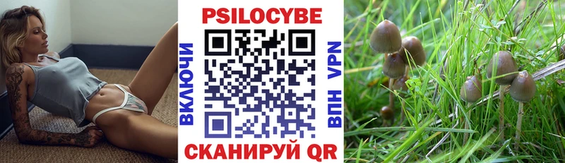 kraken ссылки  Кореновск  Псилоцибиновые грибы мицелий  где продают наркотики 