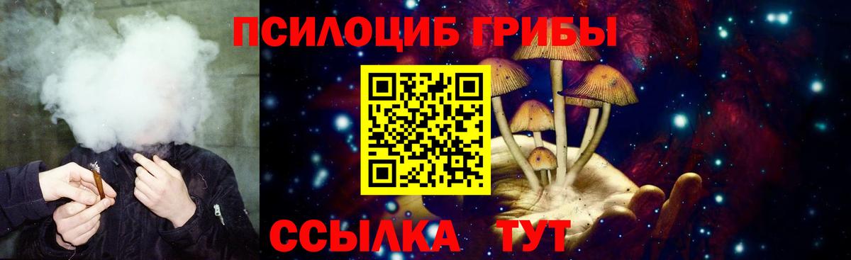 Кореновск  Псилоцибиновые грибы Cubensis  Вход с VPN 